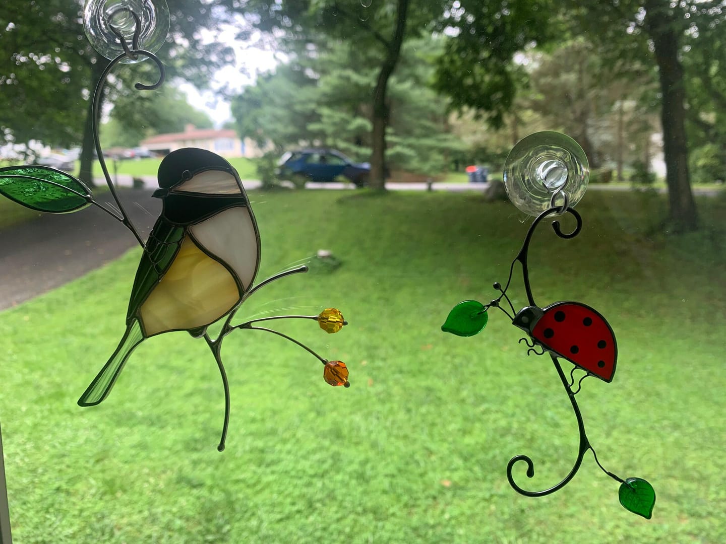 Customer photo review of Chickadee with Berries
