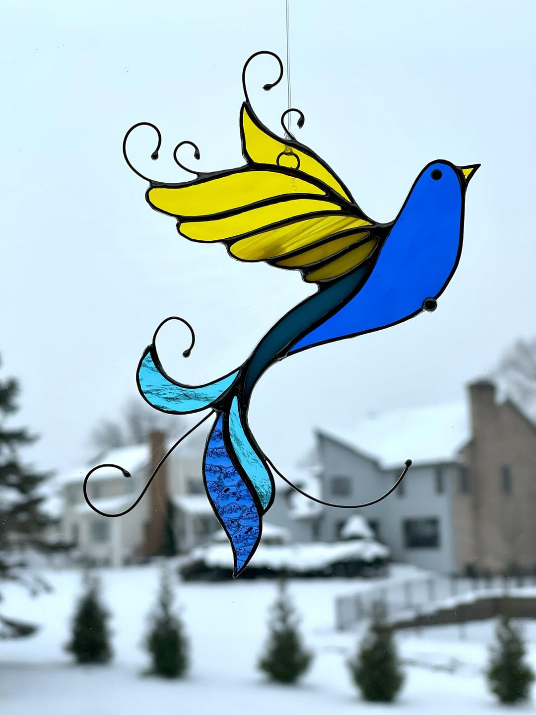 Customer photo review of Bird in UA colors