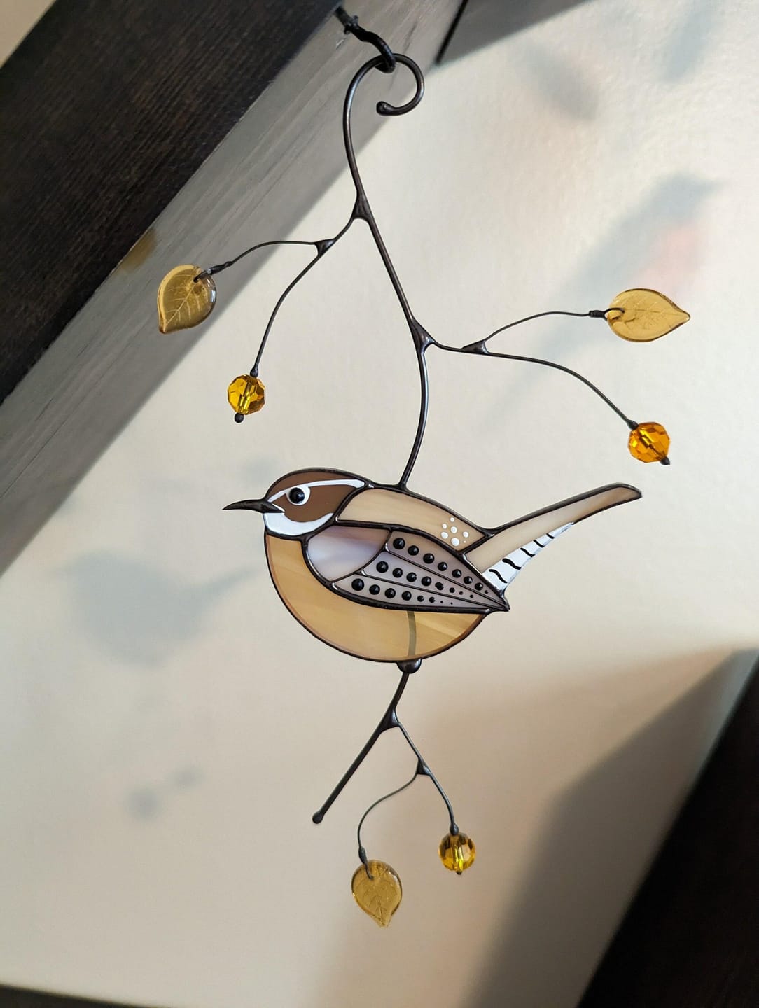 Customer photo review of Carolina Wren