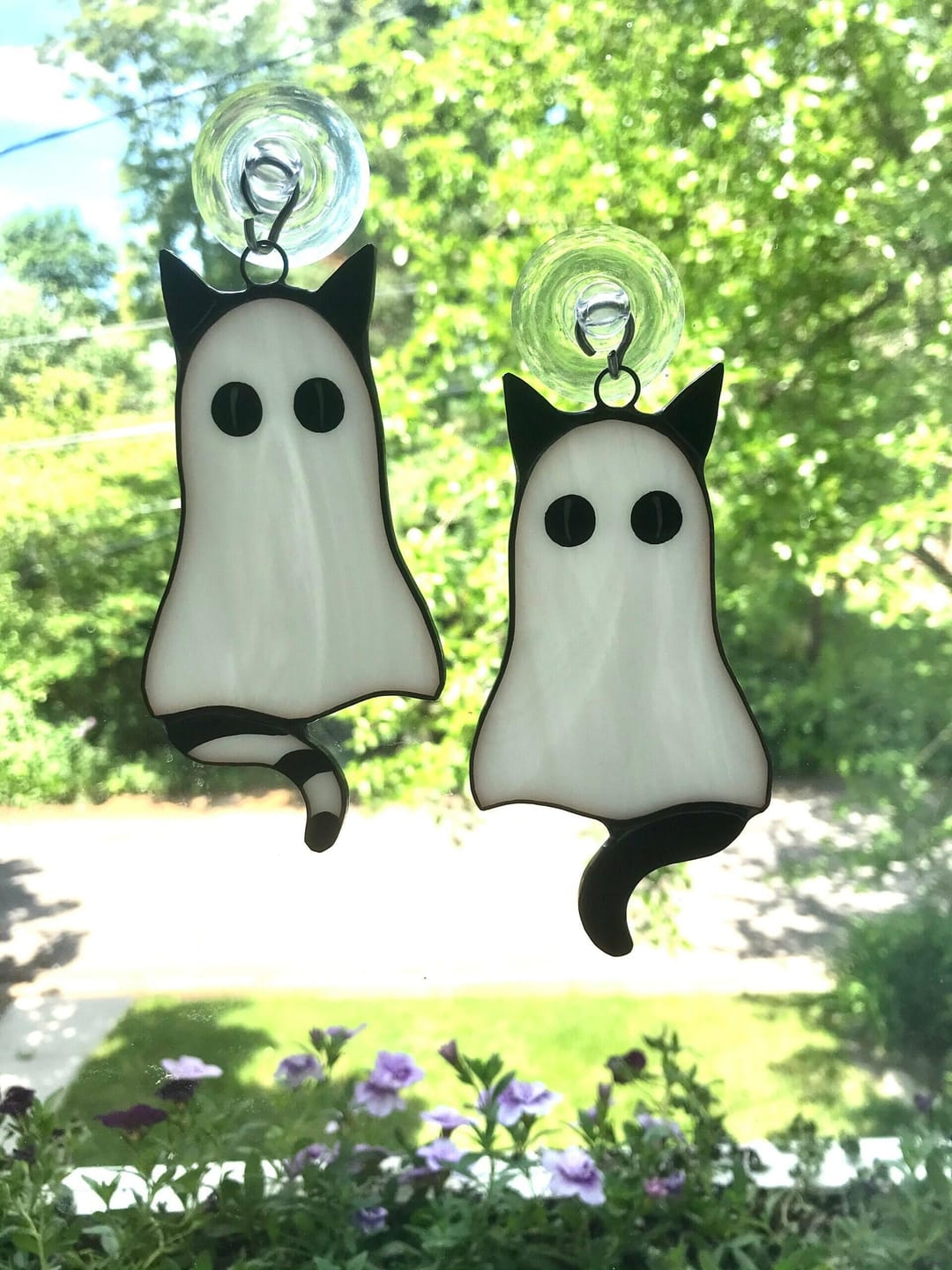 Customer photo review of Cat-Ghosts