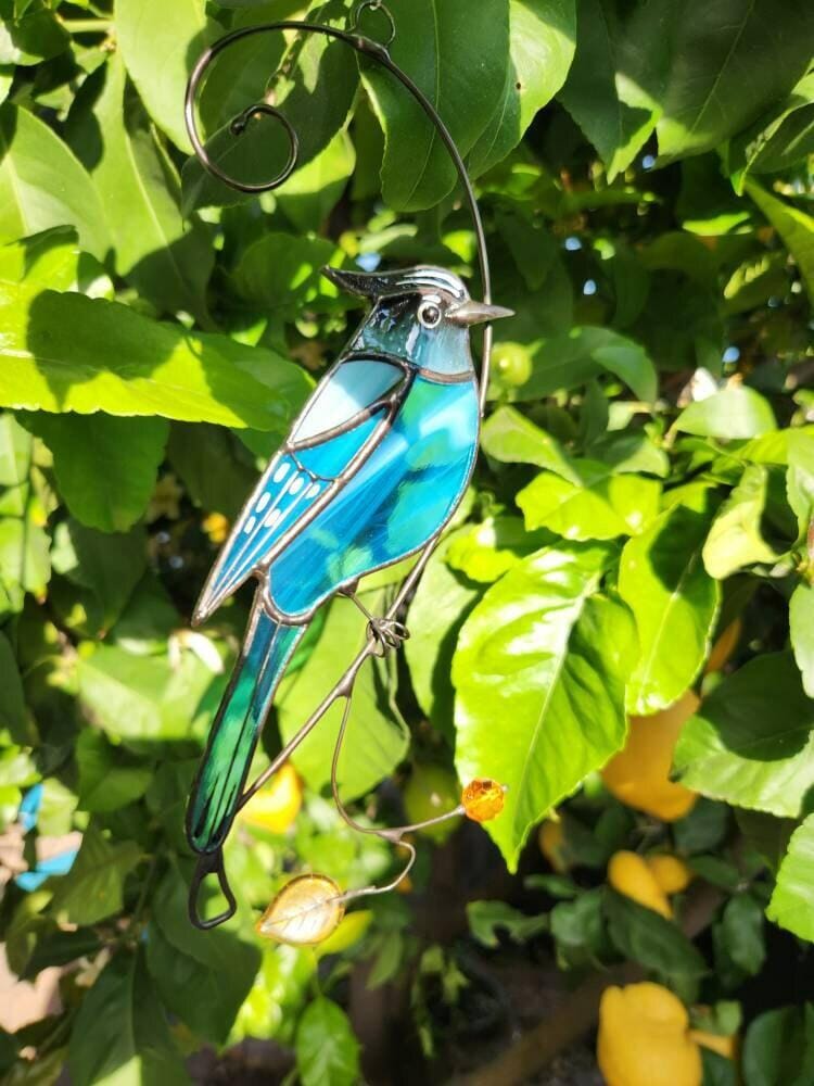Customer photo review of Steller Jay Suncatcher