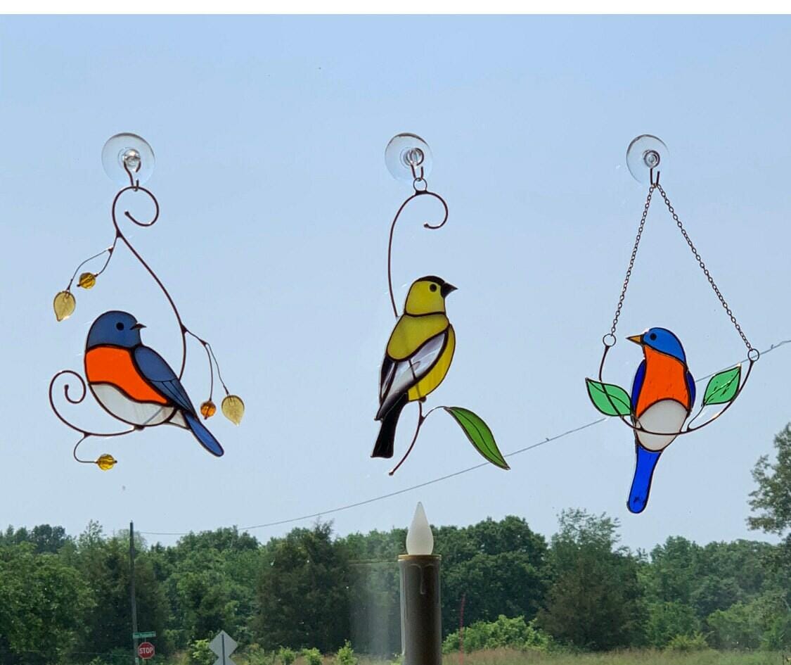 Customer photo review of Goldfinch Bird