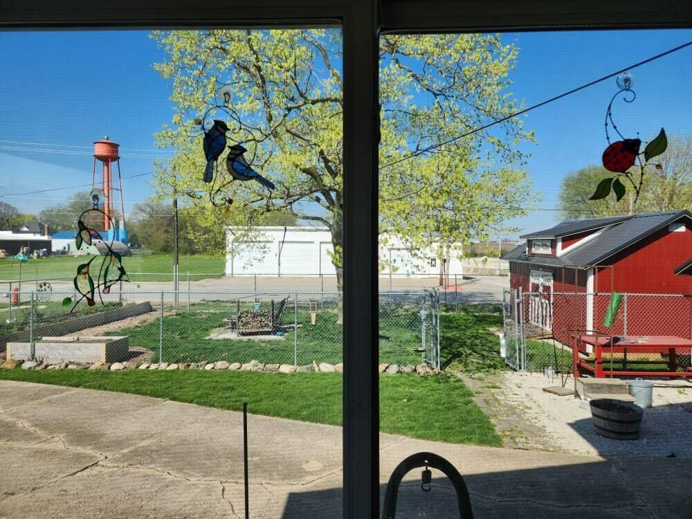 Customer photo review of Red Ladybug Suncatcher