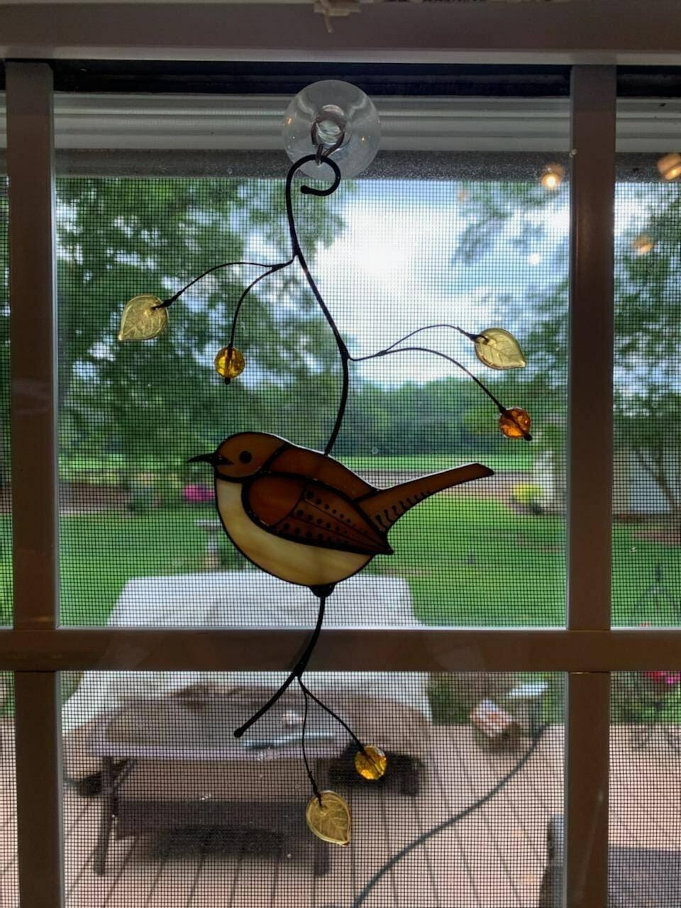 Customer photo review of Carolina Wren