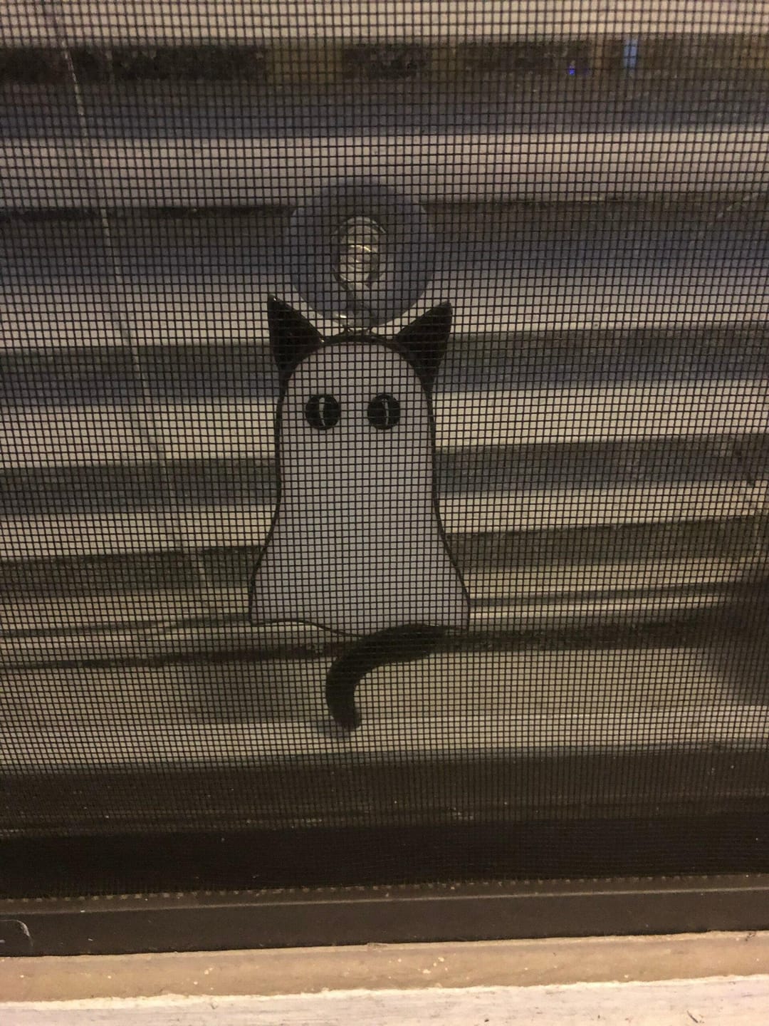 Customer photo review of Cat-Ghosts