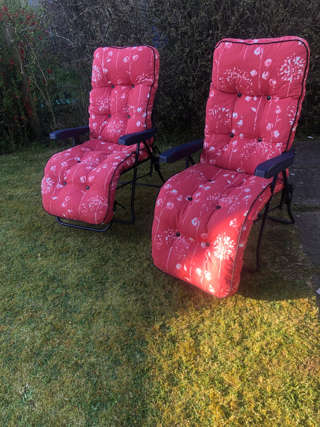 Customer photo review of Deluxe Garden Relaxer REPLACEMENT CUSHION ONLY  (pattern options available)