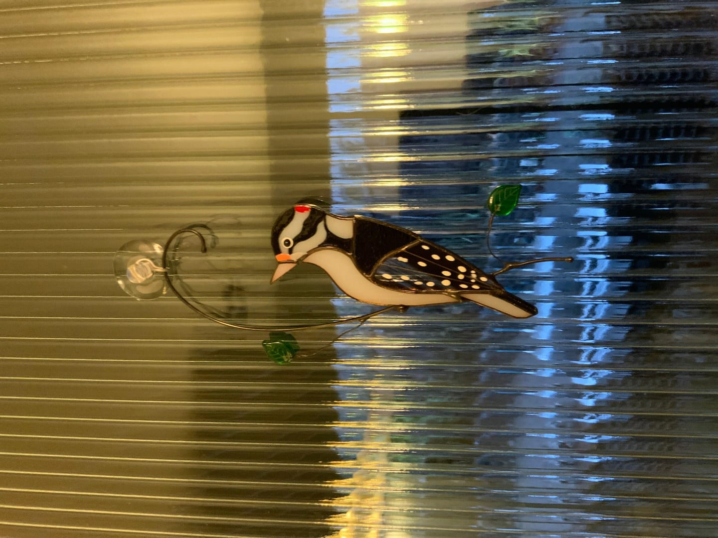 Customer photo review of Downy Woodpecker Suncatcher