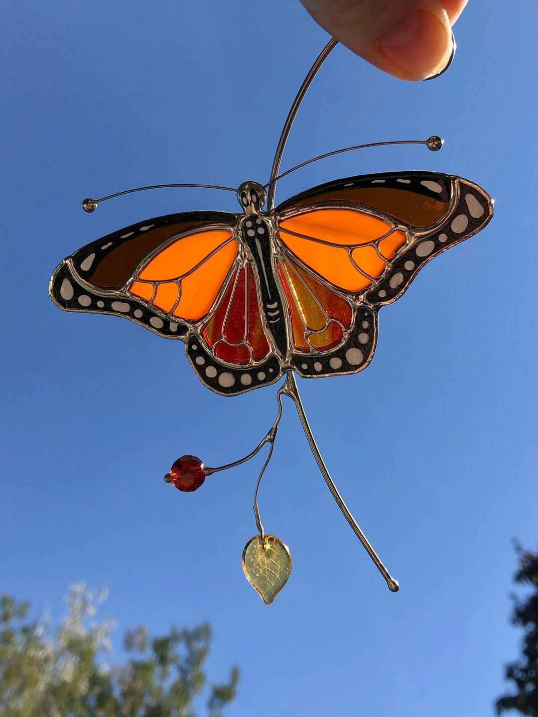 Customer photo review of Monarch Butterfly Top View