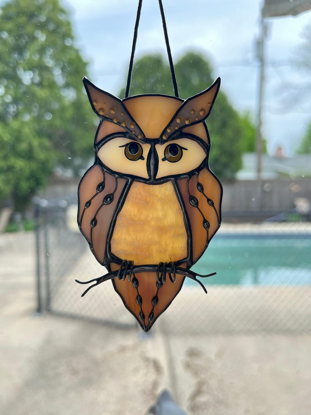 Customer photo review of Great Horned Owl