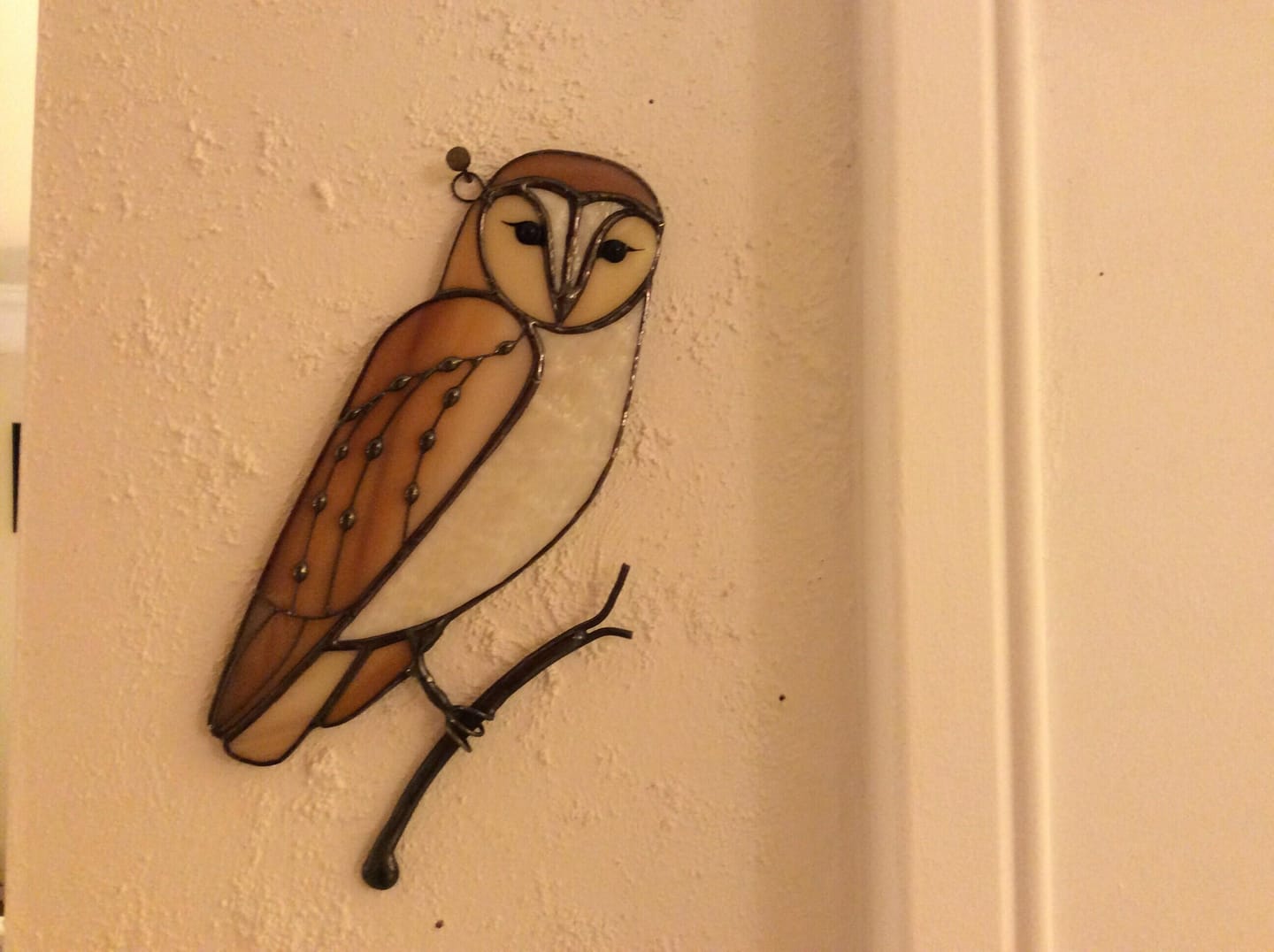 Customer photo review of Barred Owl