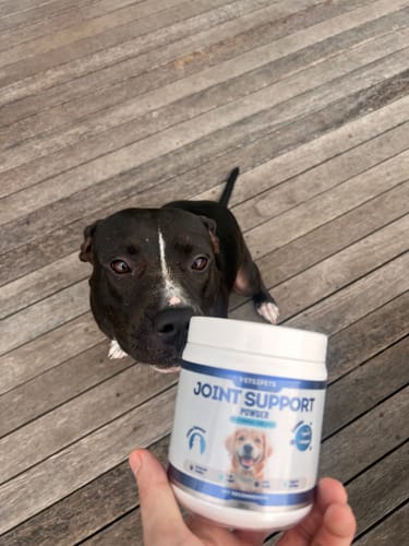 Customer photo review of Joint Support Powder
