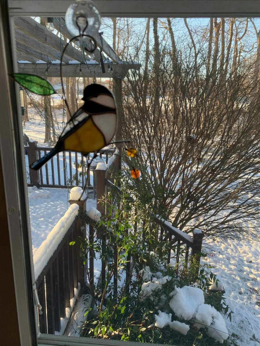 Customer photo review of Chickadee with Berries
