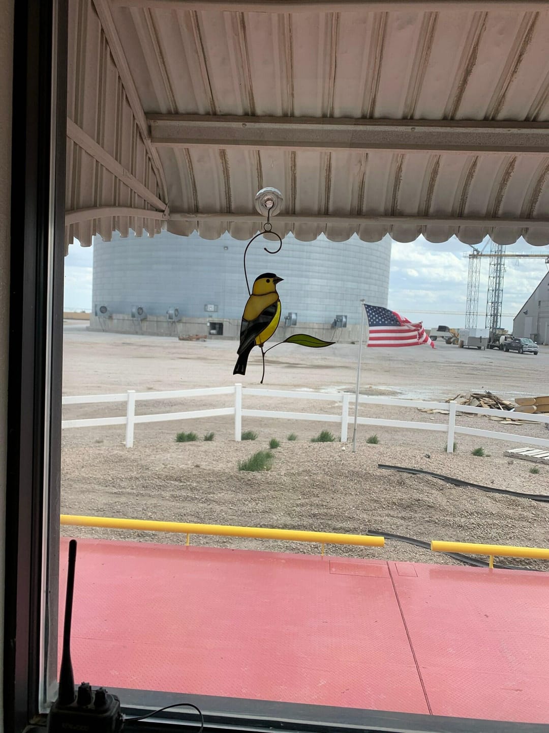 Customer photo review of Goldfinch Bird