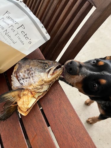 Customer photo review of Salmon Heads