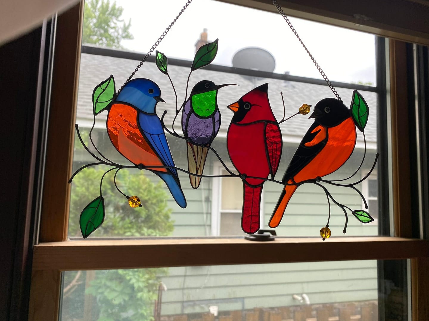 Customer photo review of Four Birds on the Branch