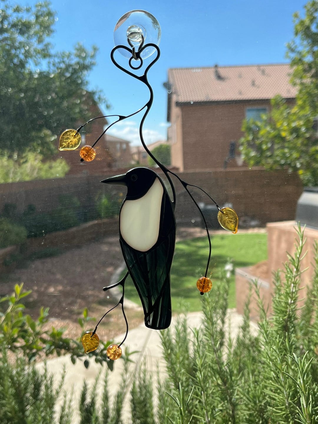 Customer photo review of Australian Magpies