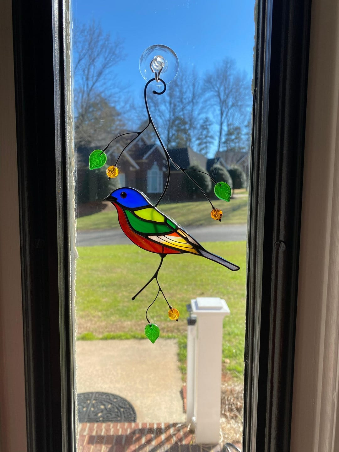 Customer photo review of Painting Bunting Bird