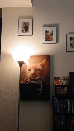 Customer photo review of Commander