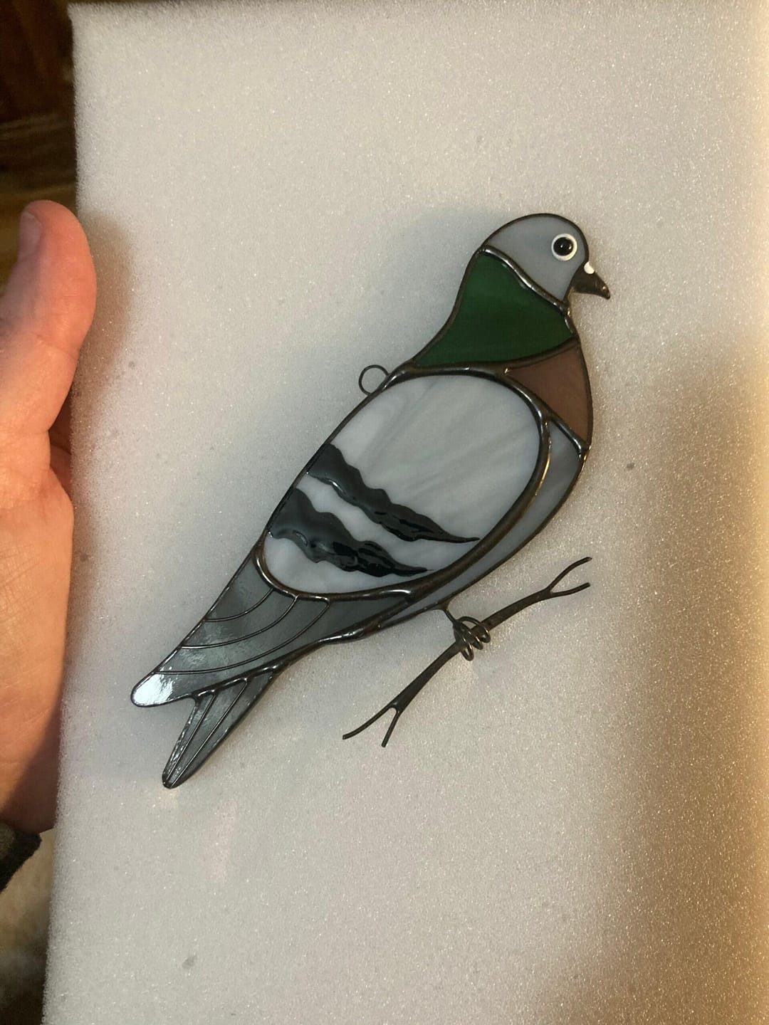 Customer photo review of Pigeon