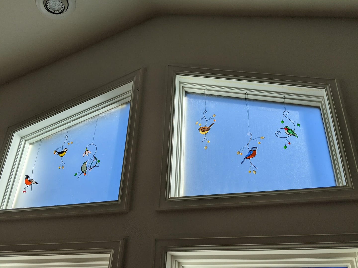Customer photo review of Green Ruby-throated Hummingbird window hanging