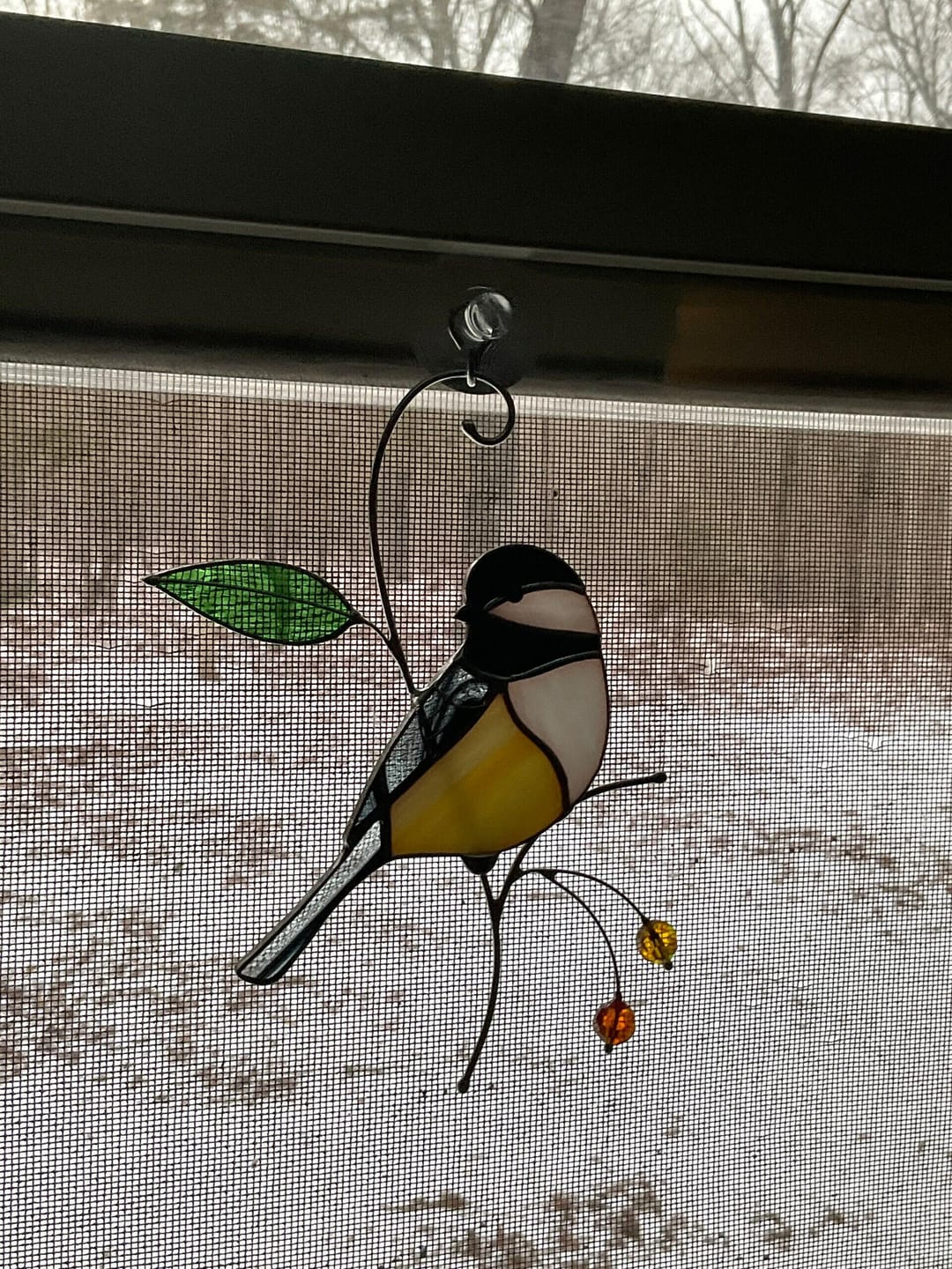 Customer photo review of Chickadee with Berries