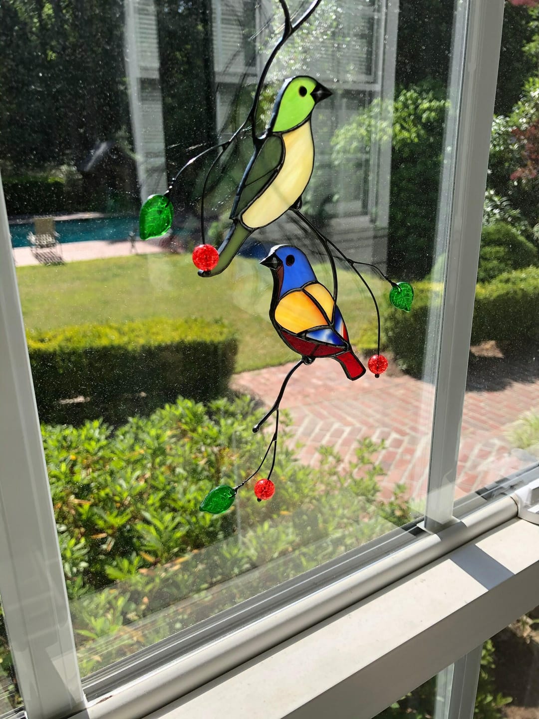 Customer photo review of Stained glass Bunting Birds for valentines day