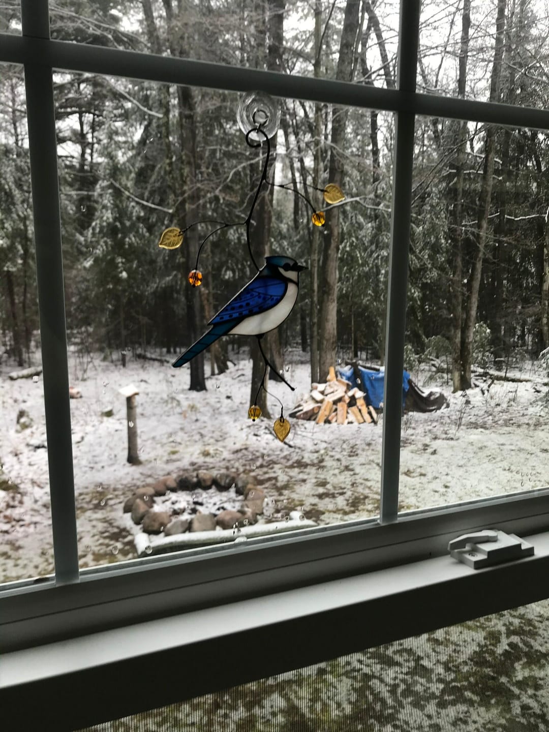 Customer photo review of Blue Jay stained glass bird realistic on a branch