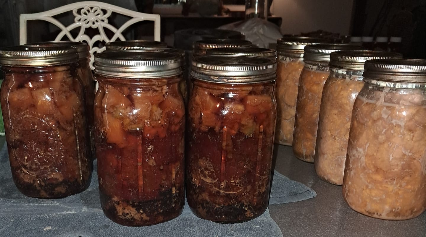 Customer photo review of Case of 20 – Denali Lids – 12 Canning Lids Per Pack – Wide Mouth