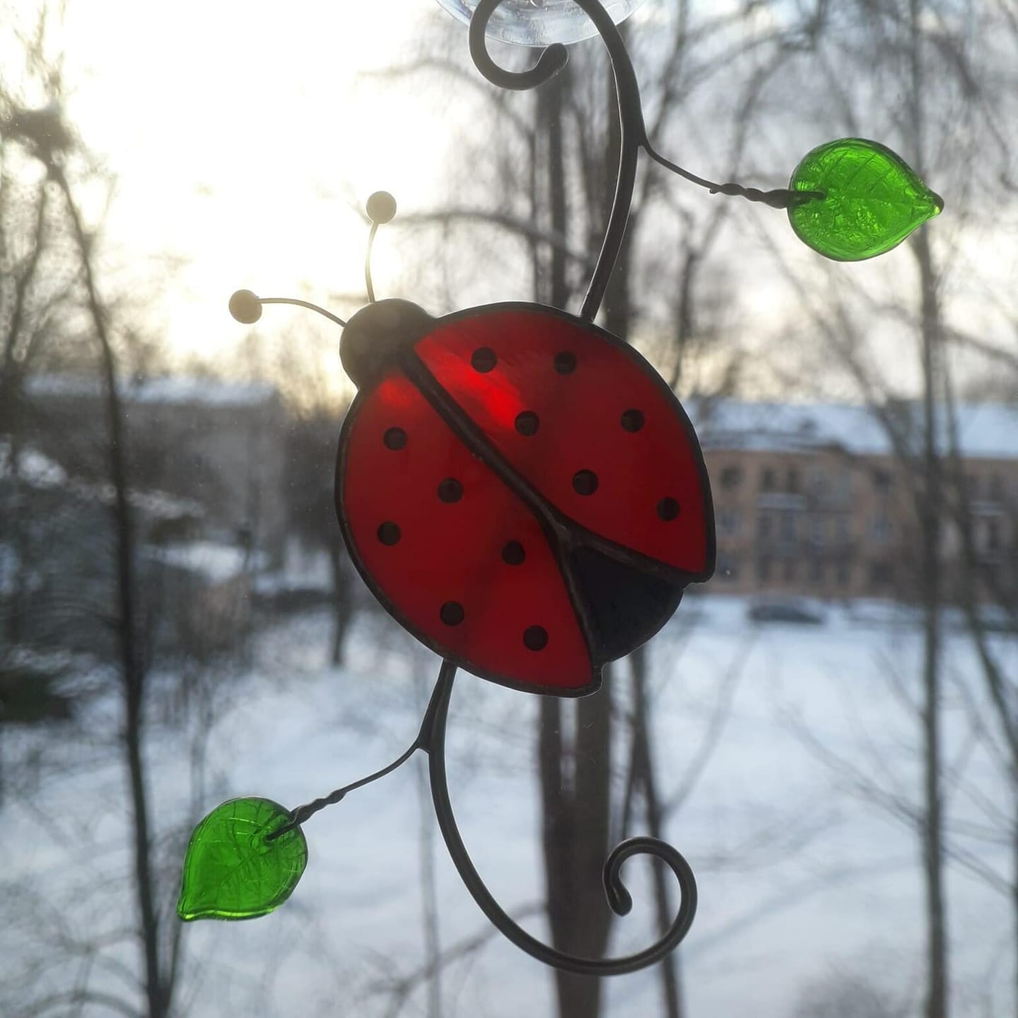 Customer photo review of Red Ladybug Suncatcher