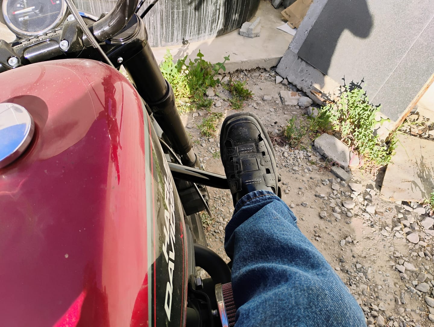 Customer photo review of Viking Iron Born Motorcycle Crash Bar/Engine Guard for Harley Sportster Forty Eight Gloss Black