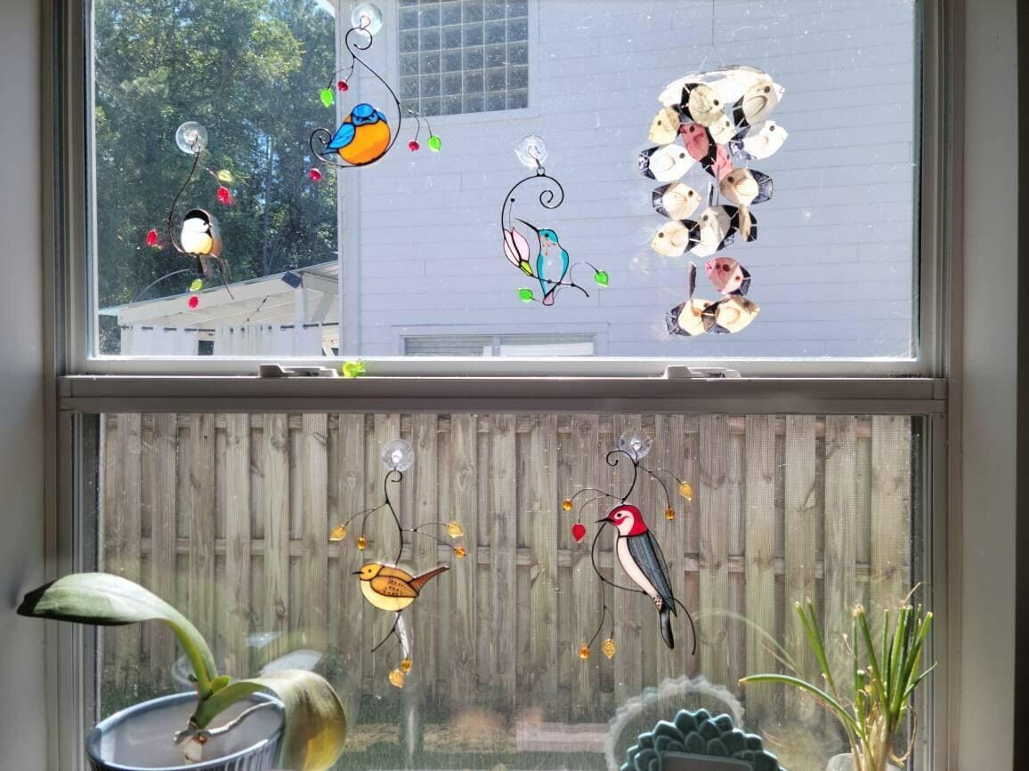 Customer photo review of Carolina Wren