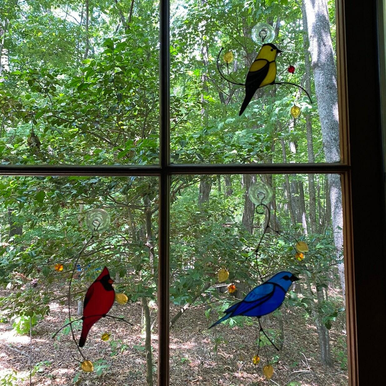 Customer photo review of Indigo Bunting Bird