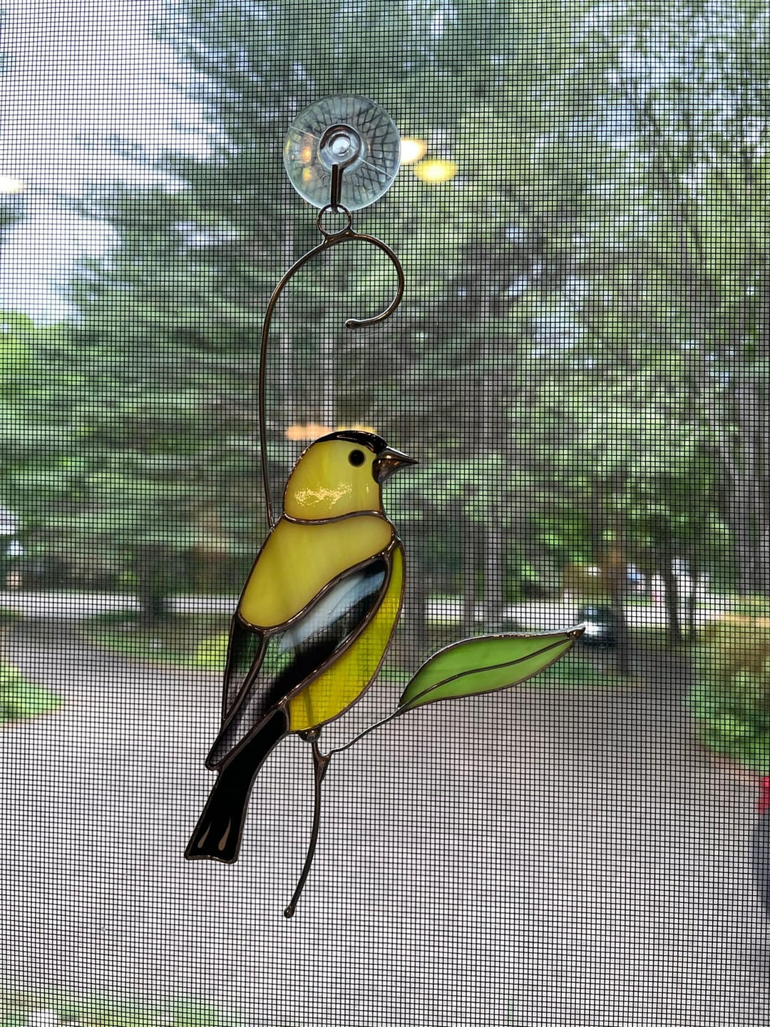 Customer photo review of Goldfinch Bird