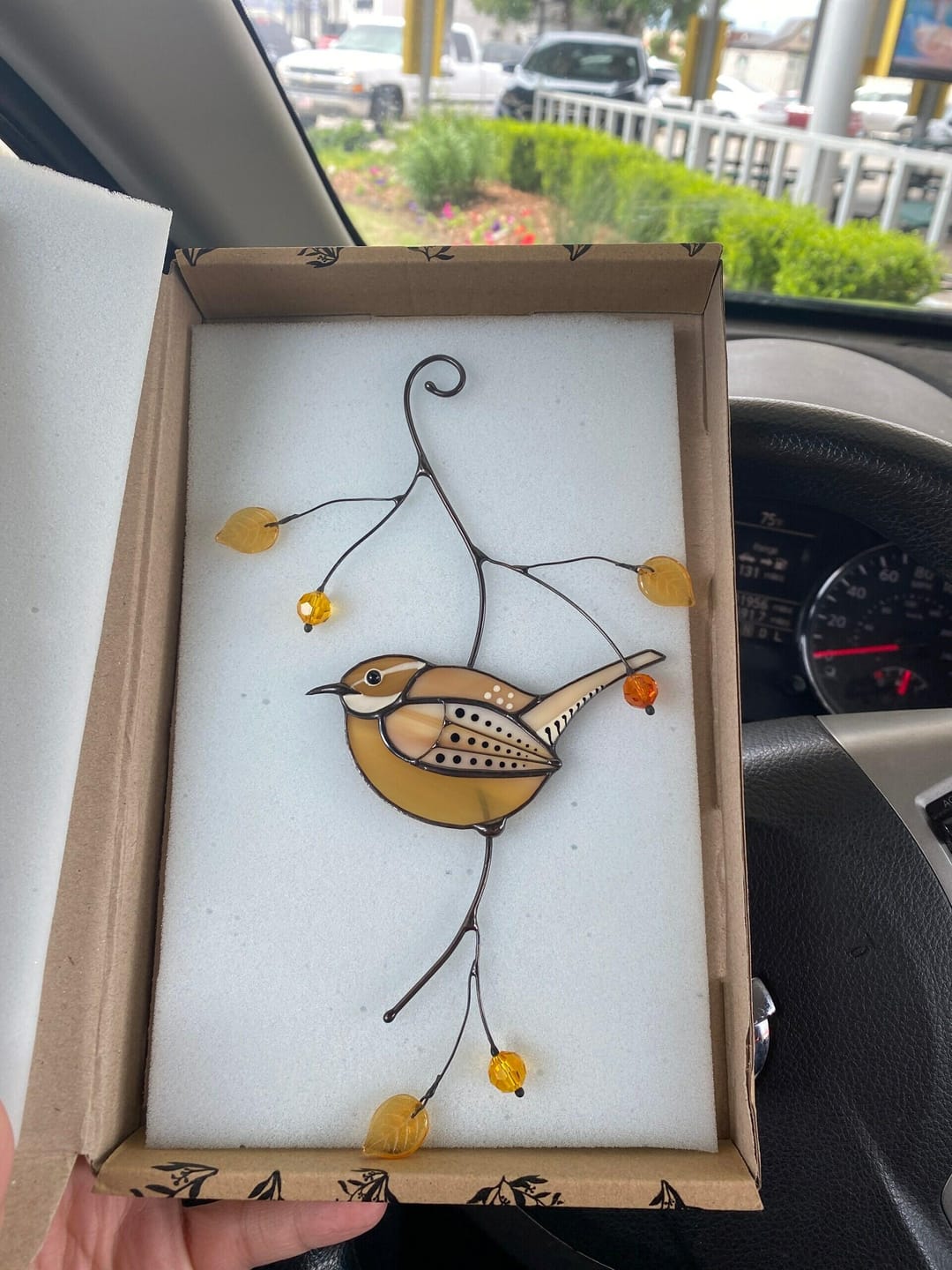 Customer photo review of Carolina Wren