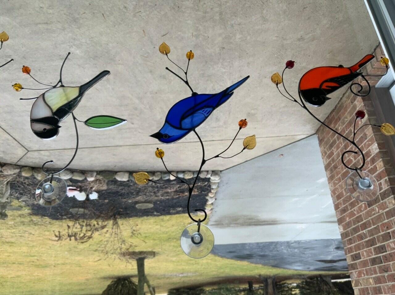Customer photo review of Indigo Bunting Bird
