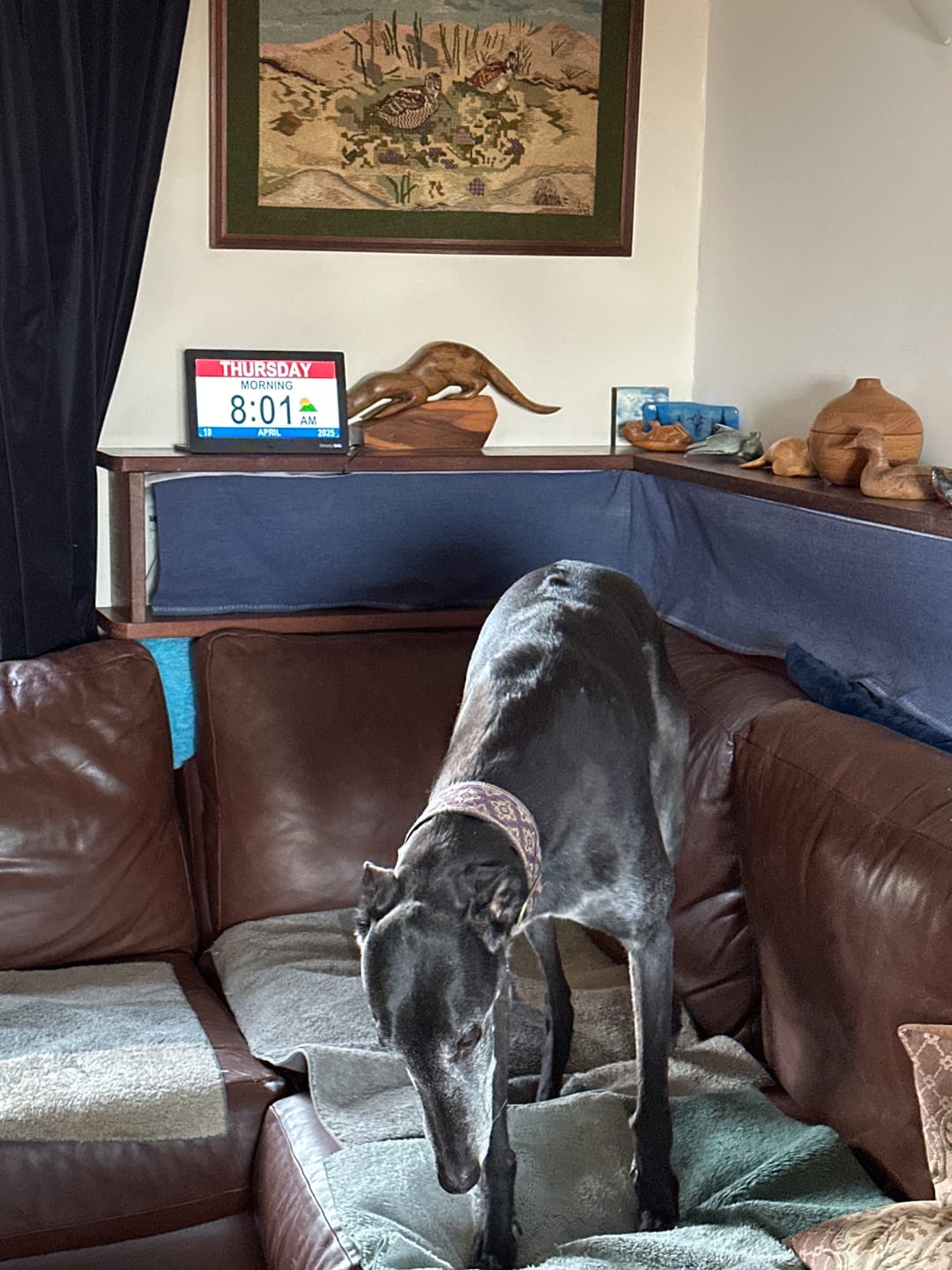 Customer photo review of XL Reminder Clock (40 Reminders)
