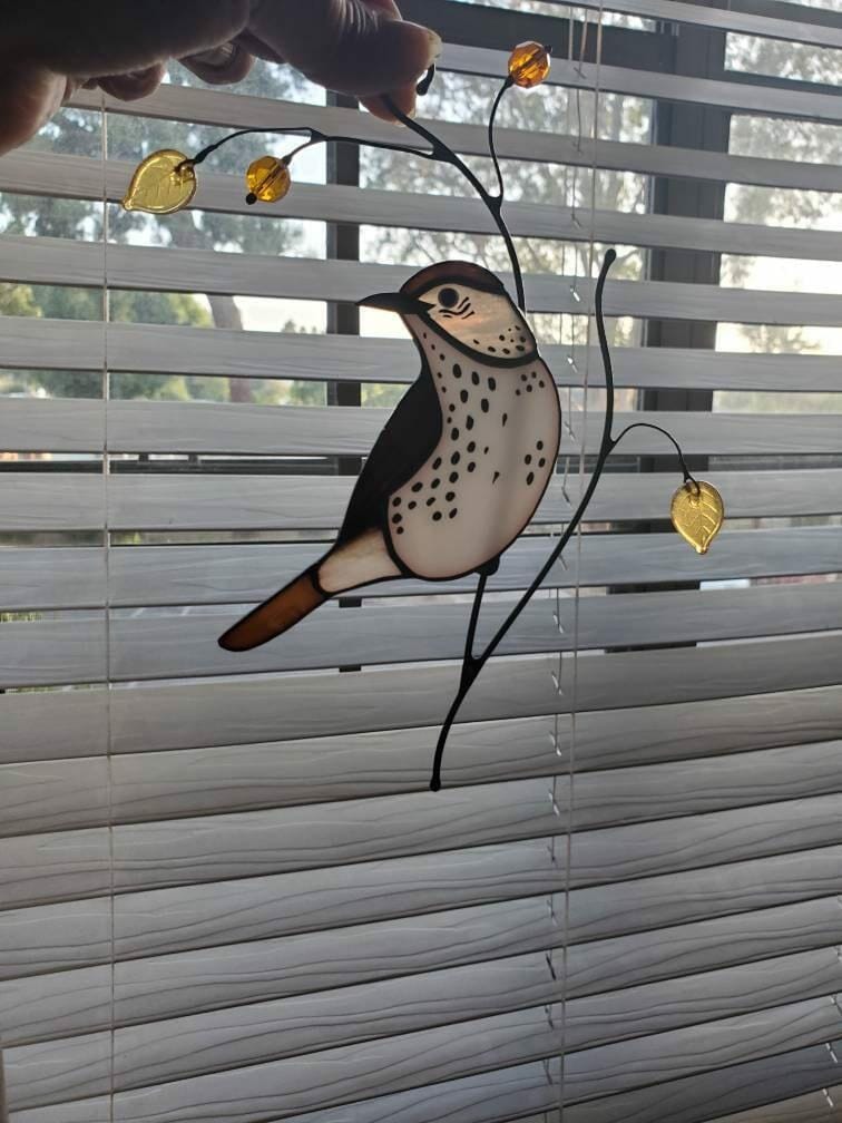 Customer photo review of Wood Thrush