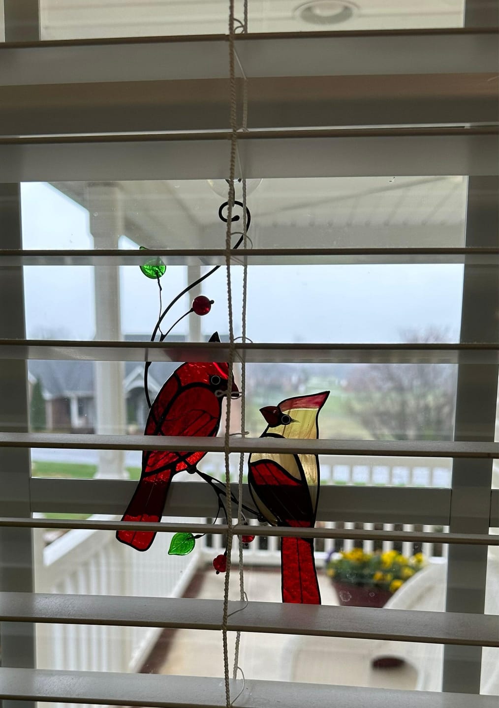 Customer photo review of Hugging Red Cardinals