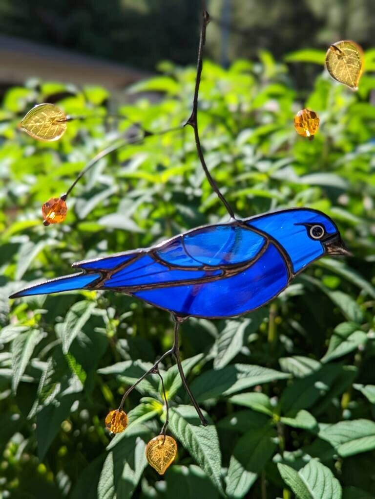 Customer photo review of Indigo Bunting Bird