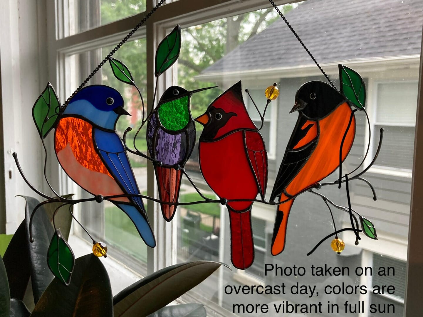 Customer photo review of Four Birds on the Branch