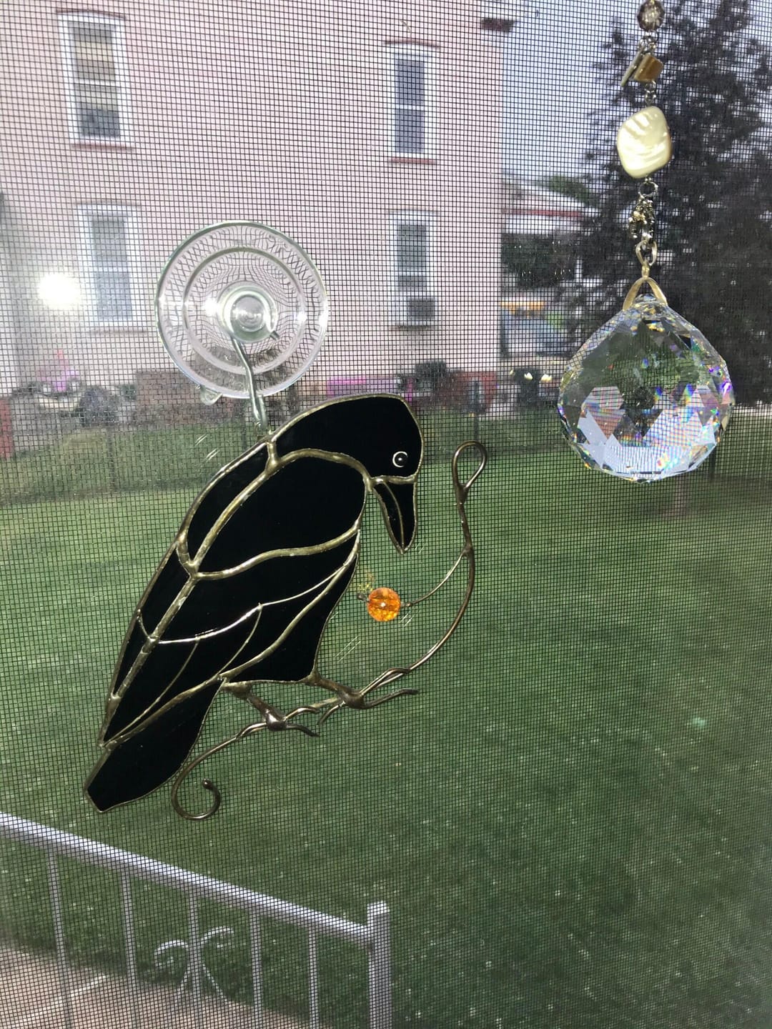 Customer photo review of Raven