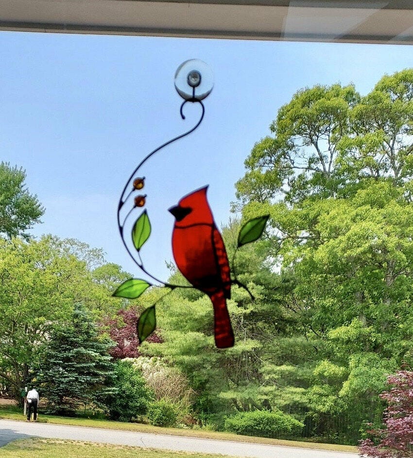 Customer photo review of Red Cardinal On The Single Branch