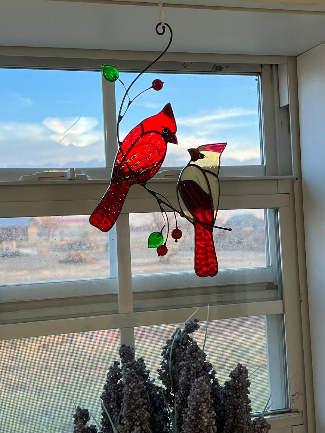 Customer photo review of Hugging Red Cardinals
