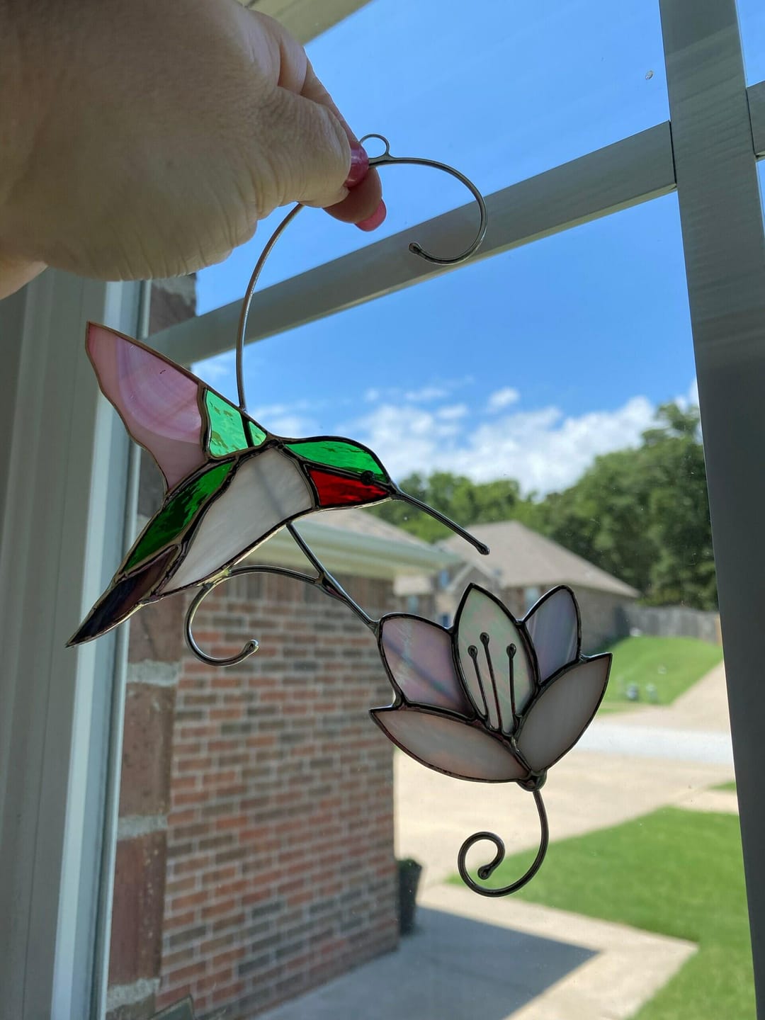 Customer photo review of Ruby-throated Hummingbird with the Flower