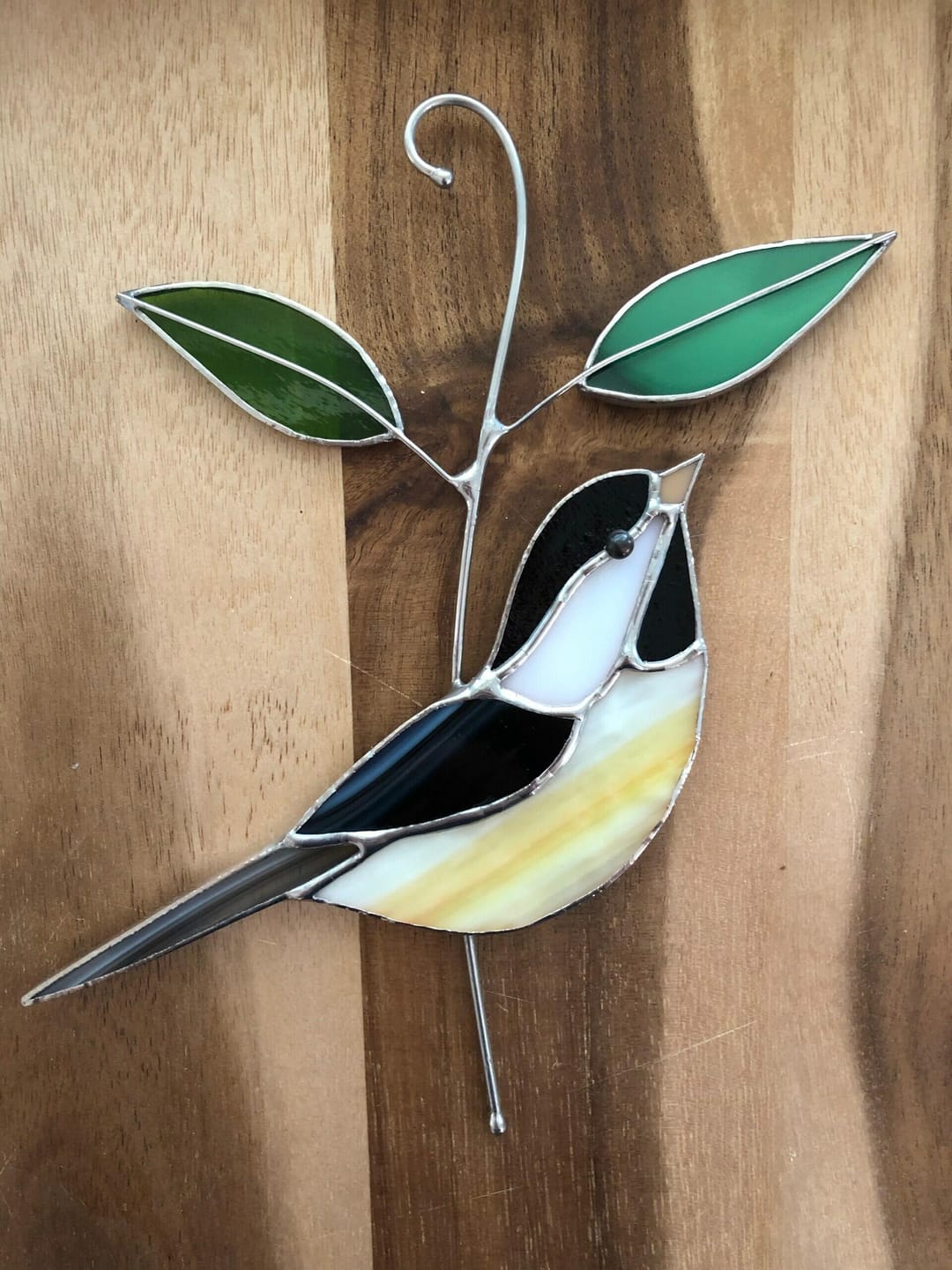 Customer photo review of Black-capped Chickadee