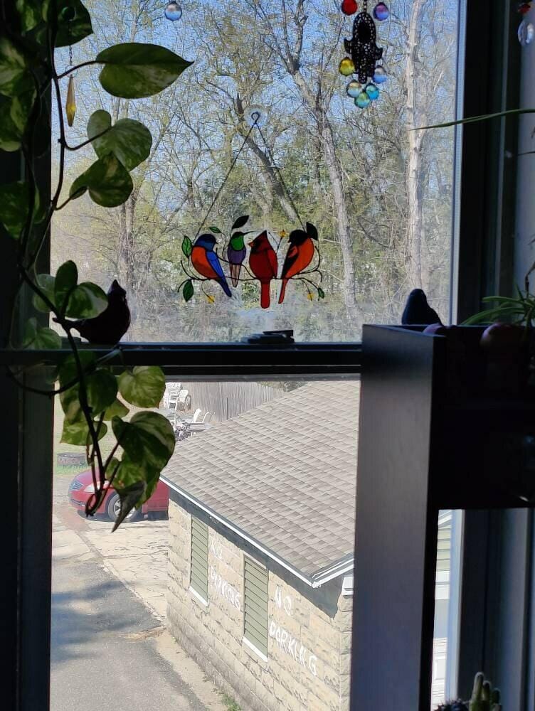Customer photo review of Four Birds on the Branch