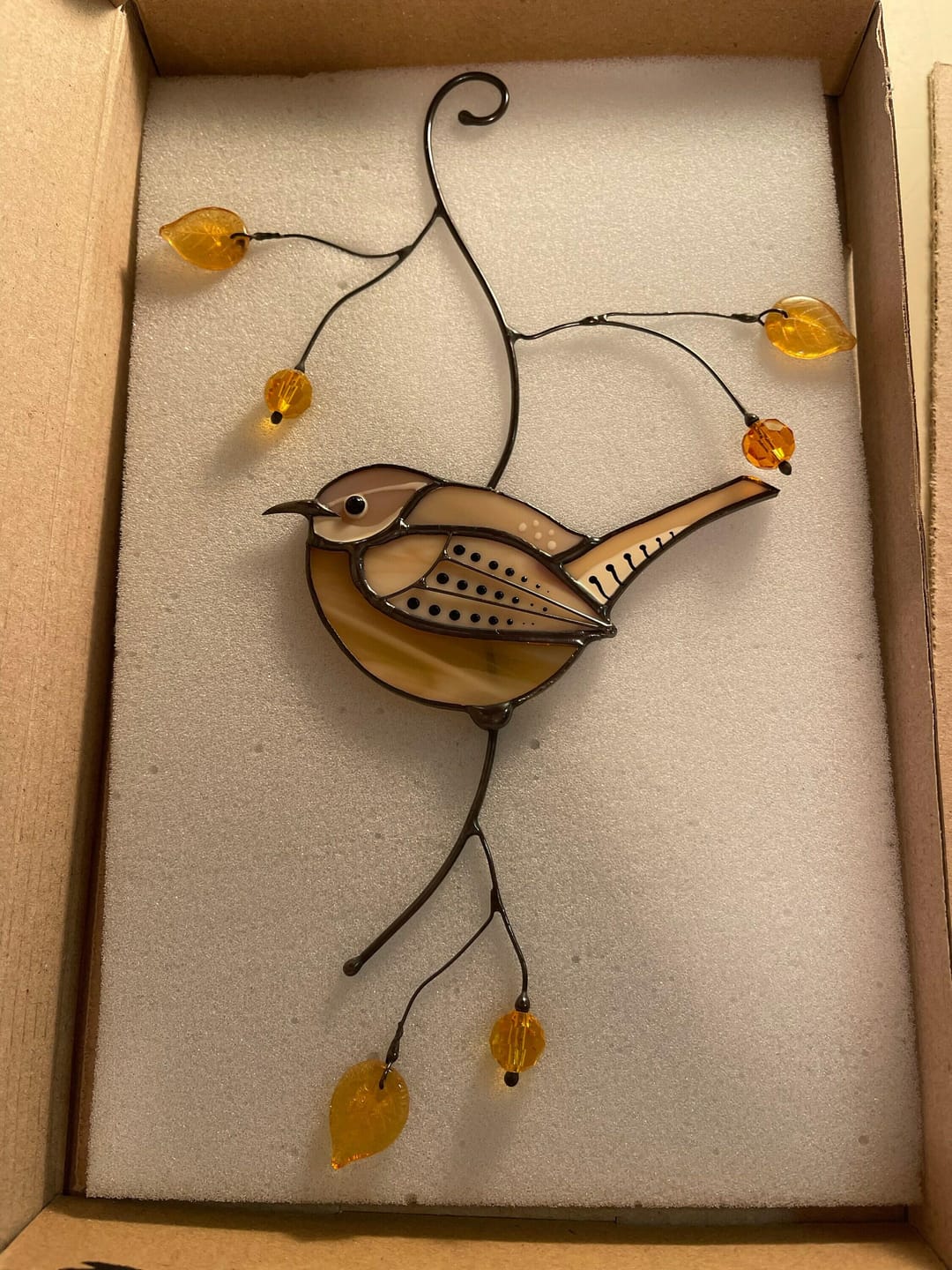 Customer photo review of Carolina Wren