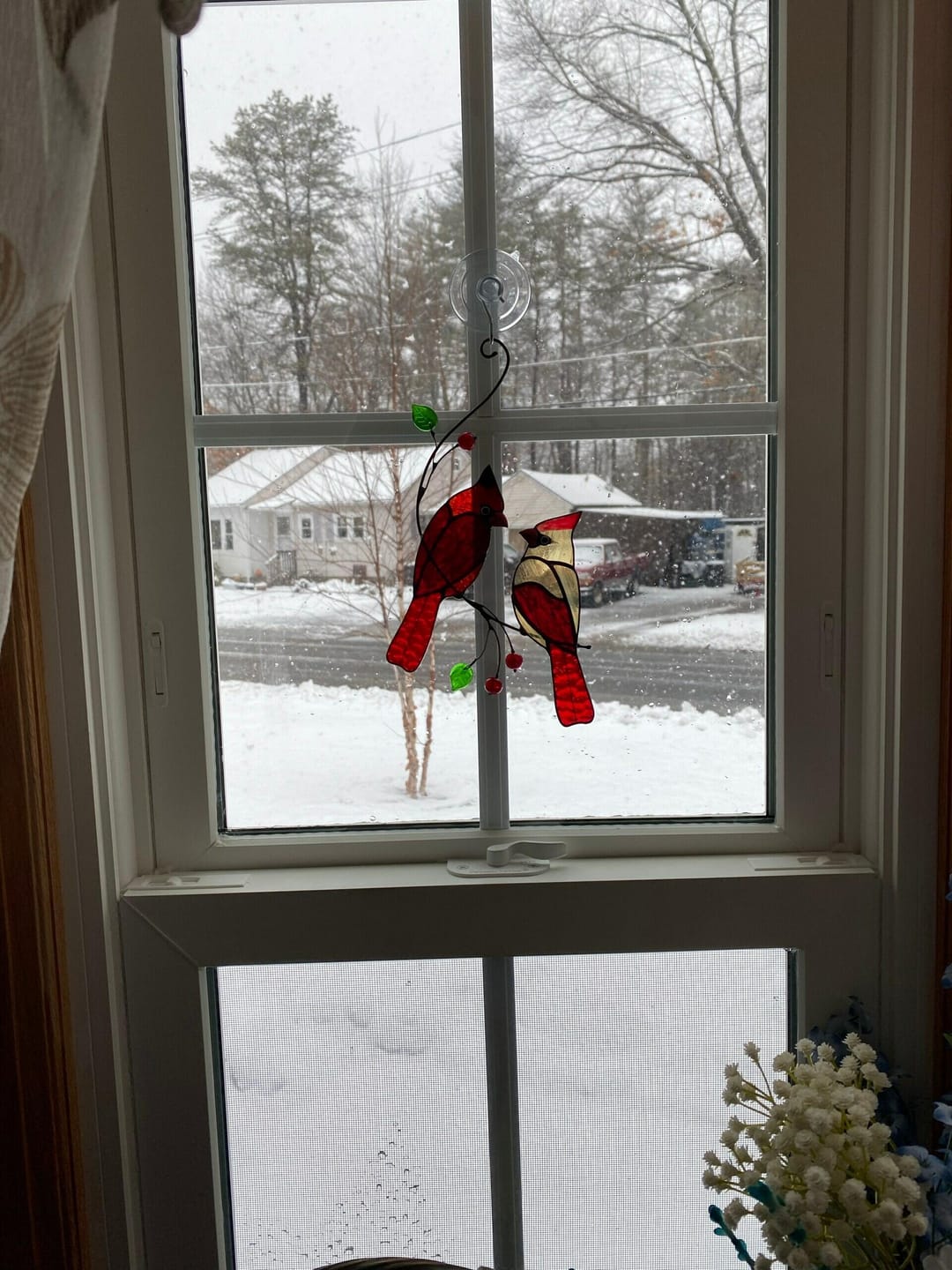 Customer photo review of Hugging Red Cardinals