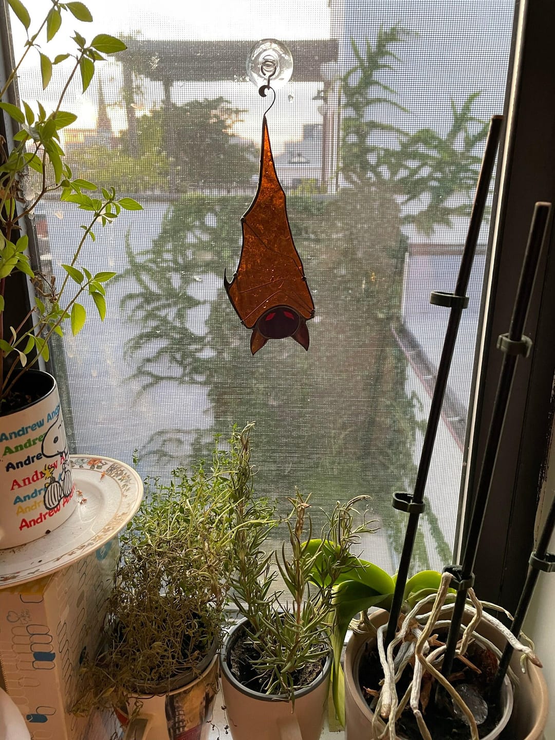 Customer photo review of Halloween Brown Transparent Bat
