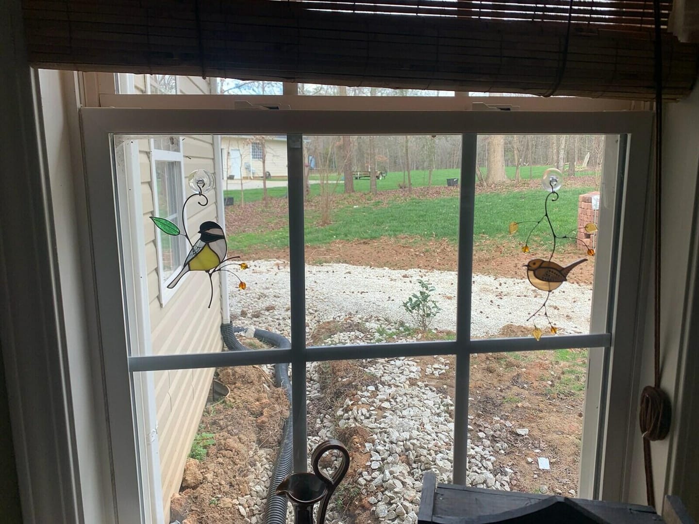 Customer photo review of Chickadee with Berries